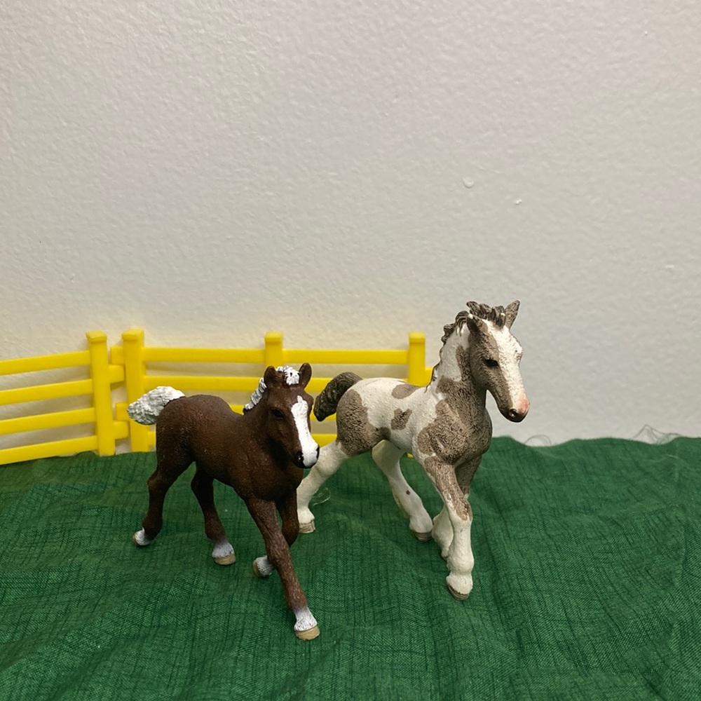 2 Foals